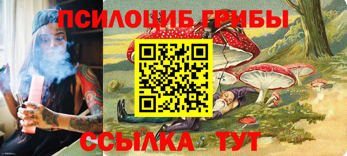 Псилоцибиновые грибы Magic Shrooms Тара